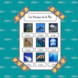 Sea Animals in French Completed - Petal Resources