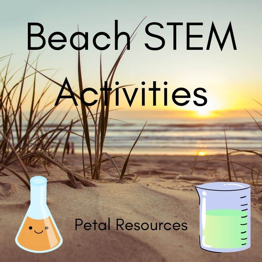 Beach Activities for Kids