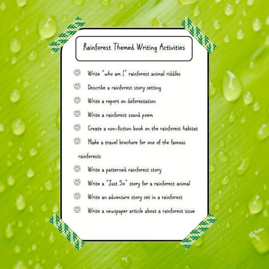 Rainforest Activities for Kids