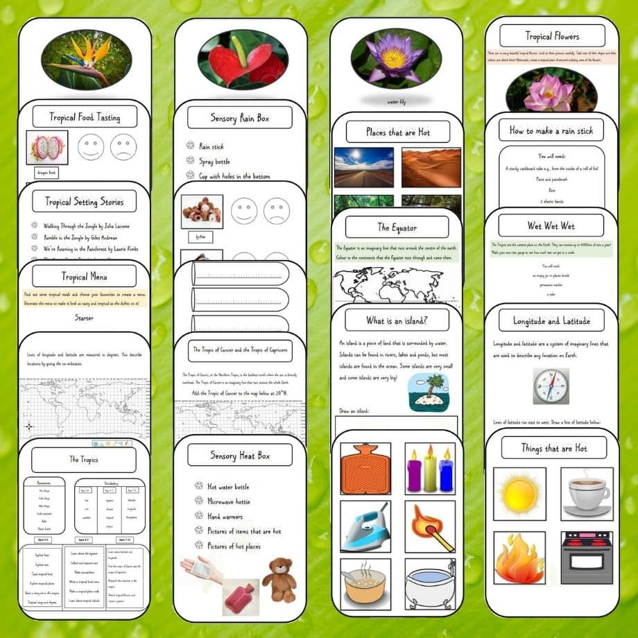Tropical Geography Exploration Project - Petal Resources