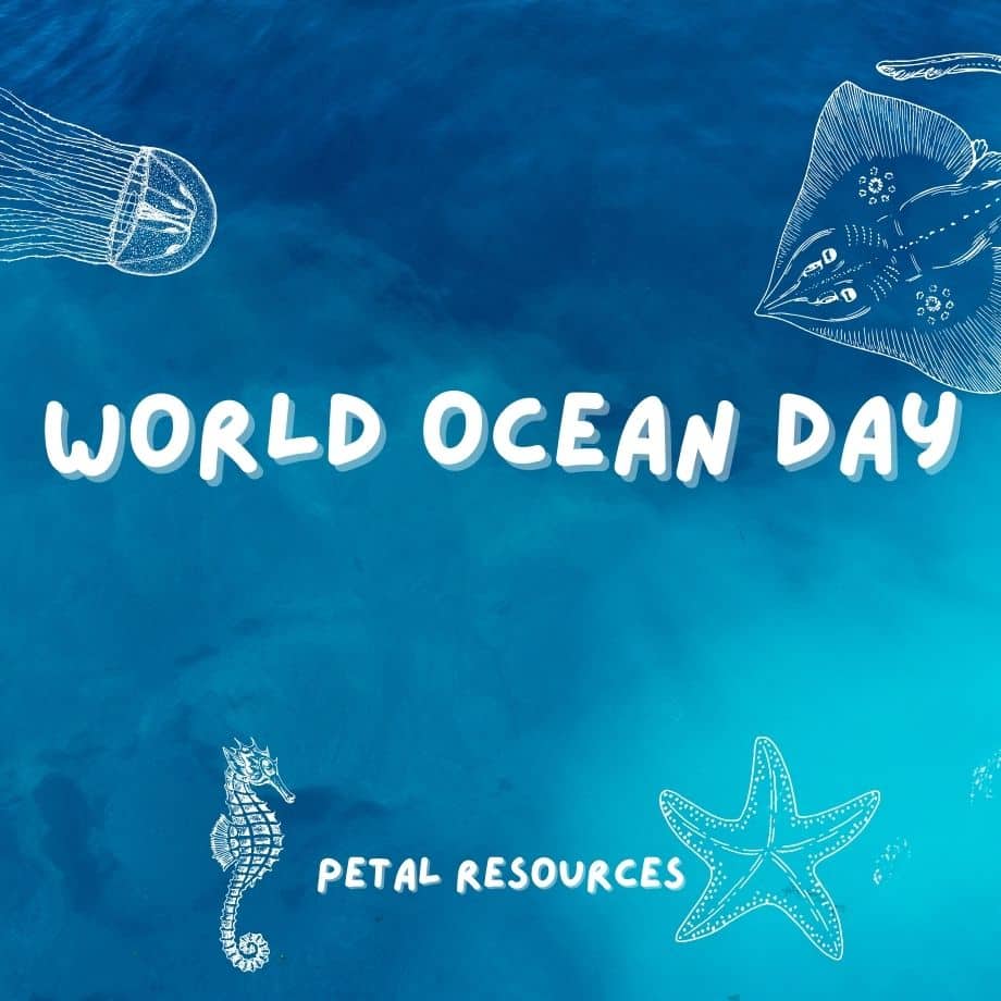 World Ocean Day